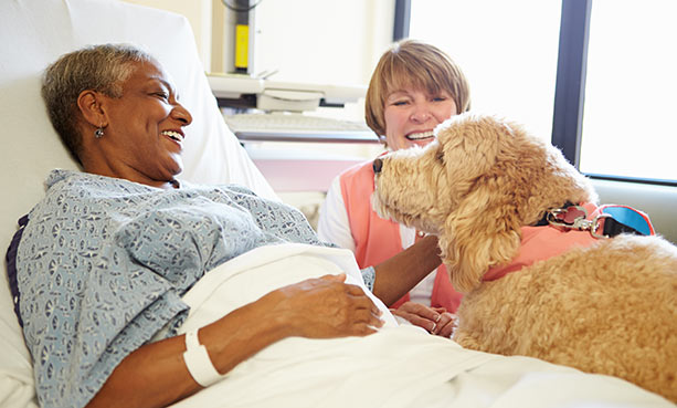 hospital volunteer with dog