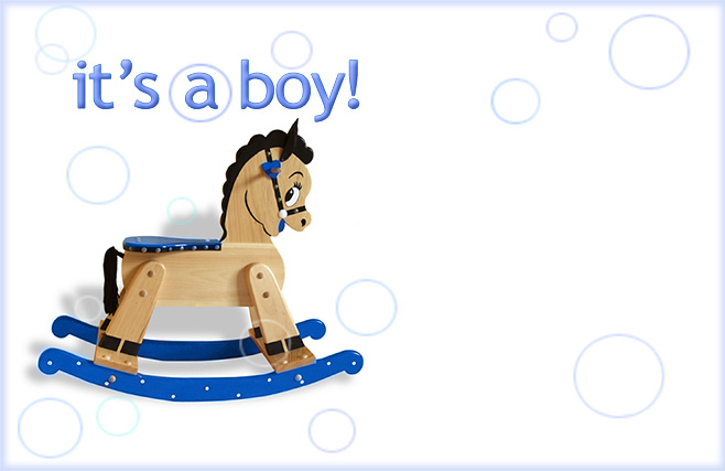 Its a boy - horse