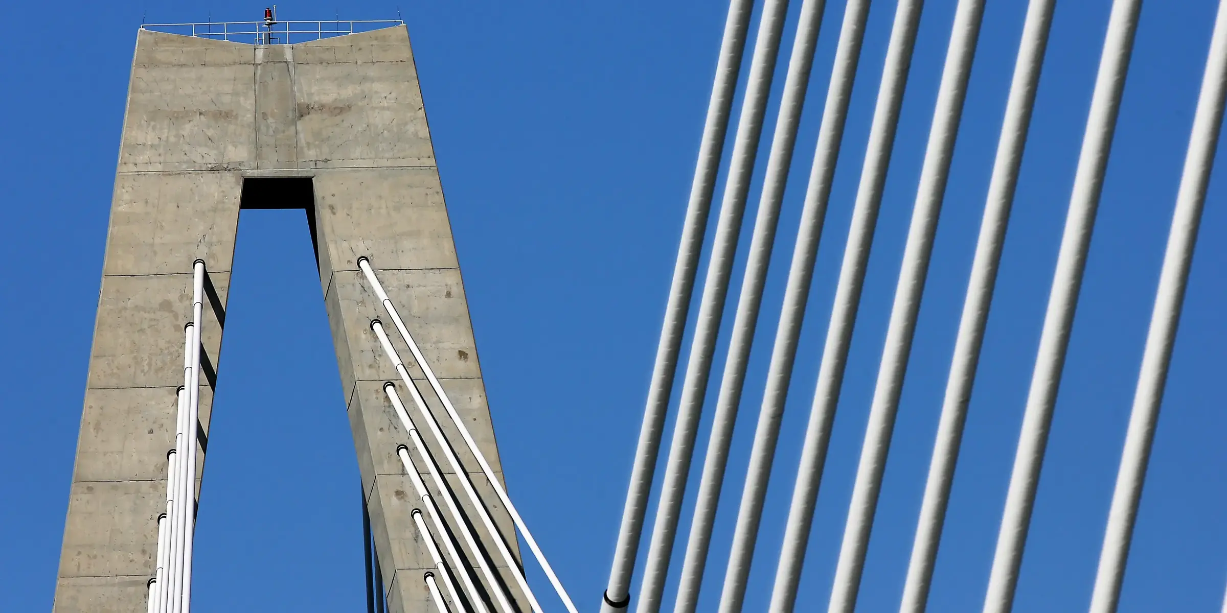 ravenel bridge