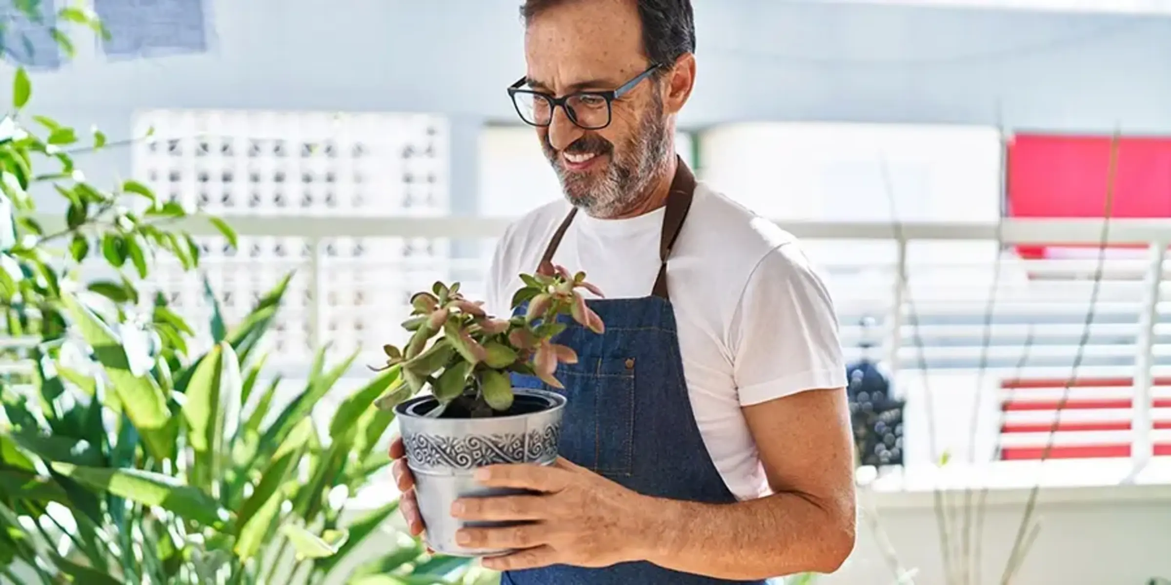 Middle age man smiling and holding plant pot