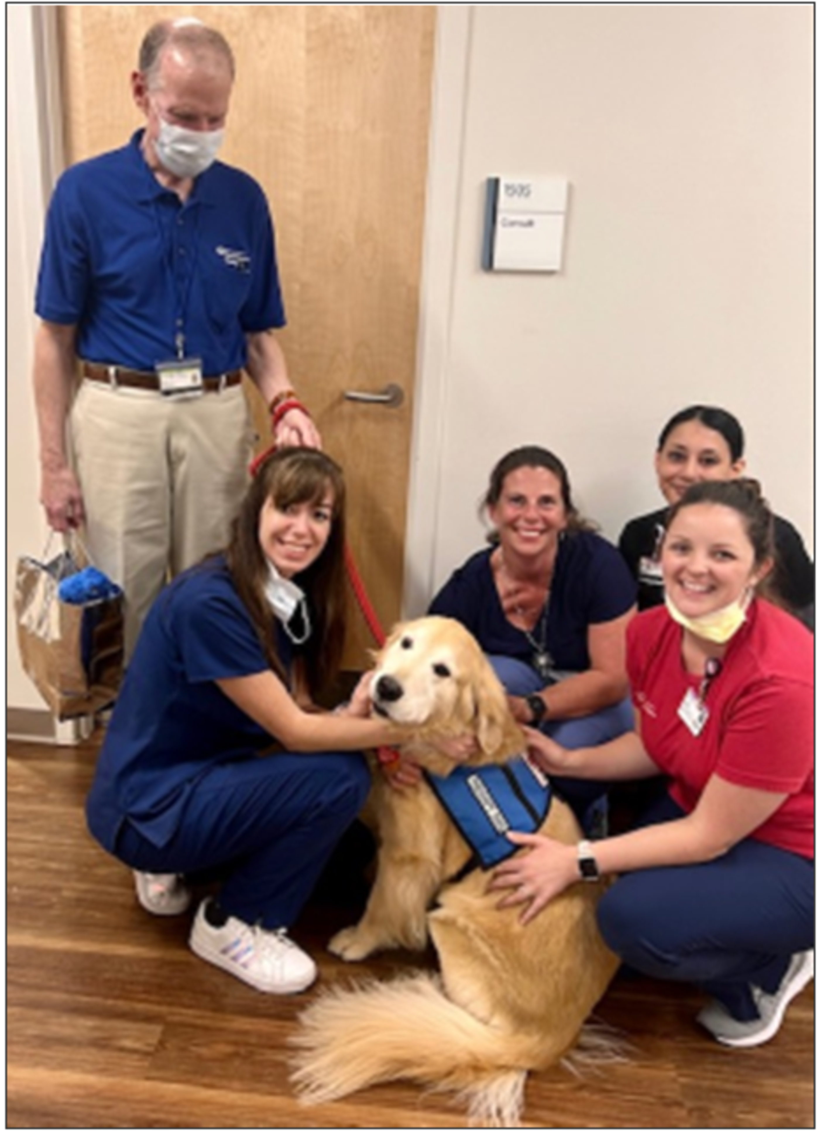 volunteering pet therapy
