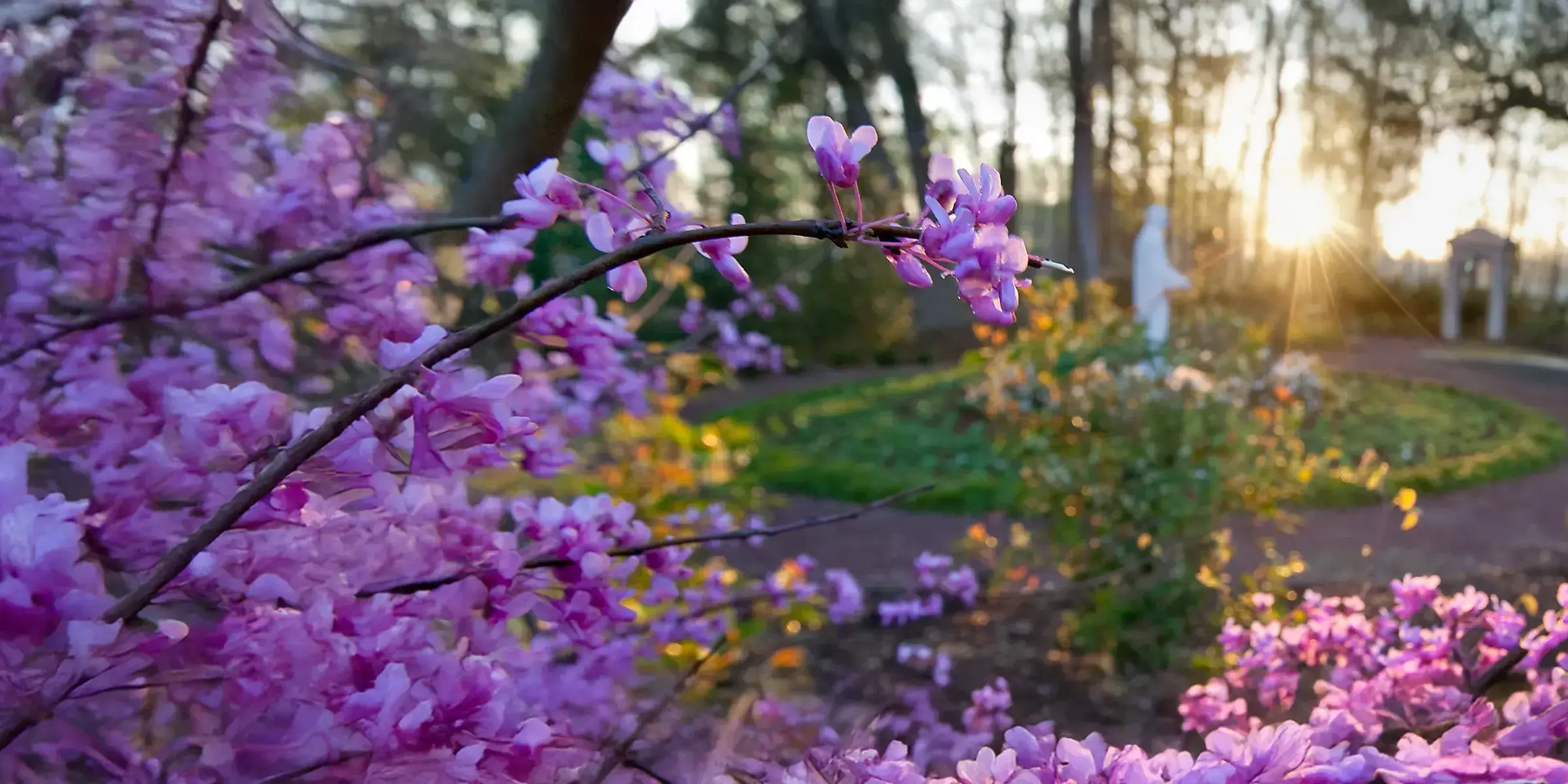 hospice-nature-care