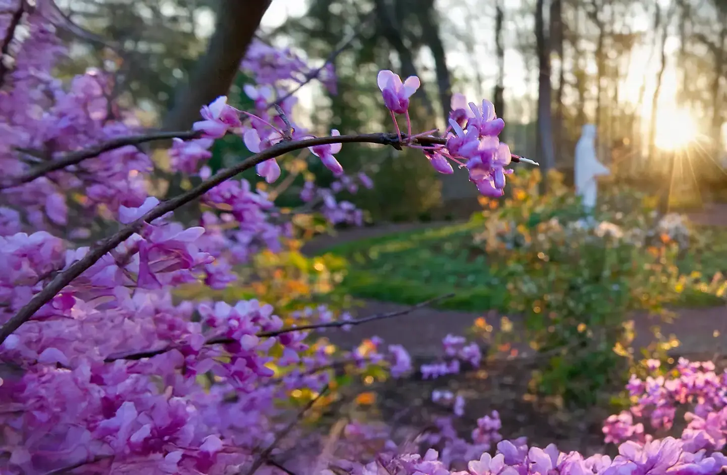 hospice-nature-care
