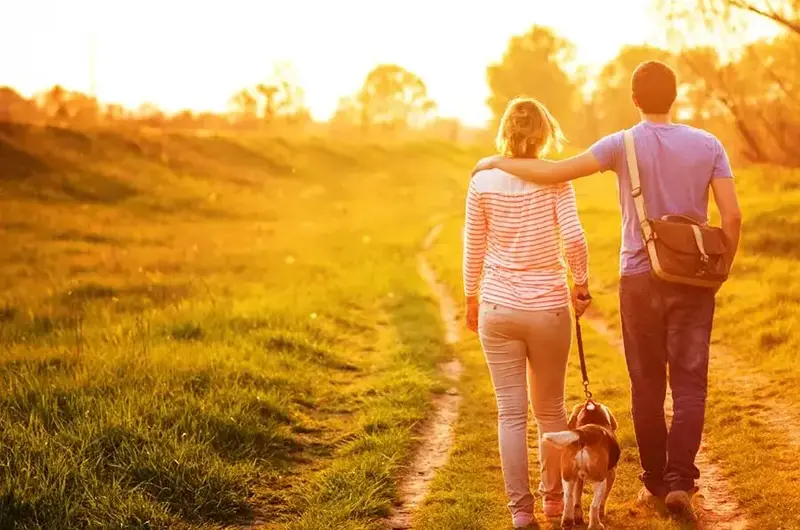 couple walking dog
