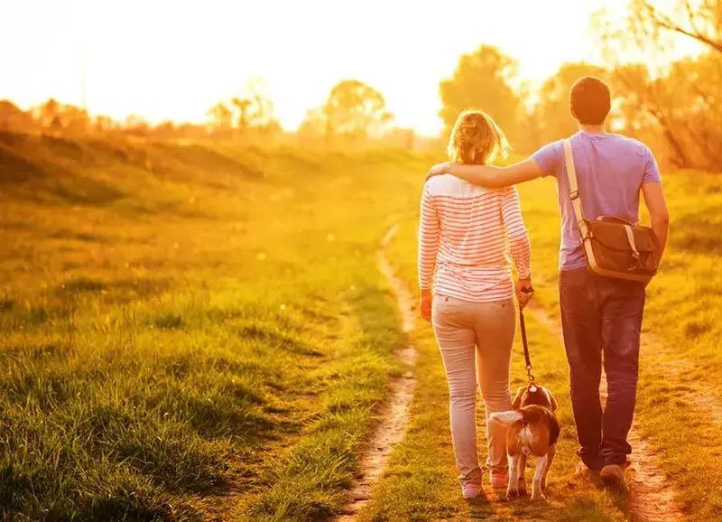 couple walking dog