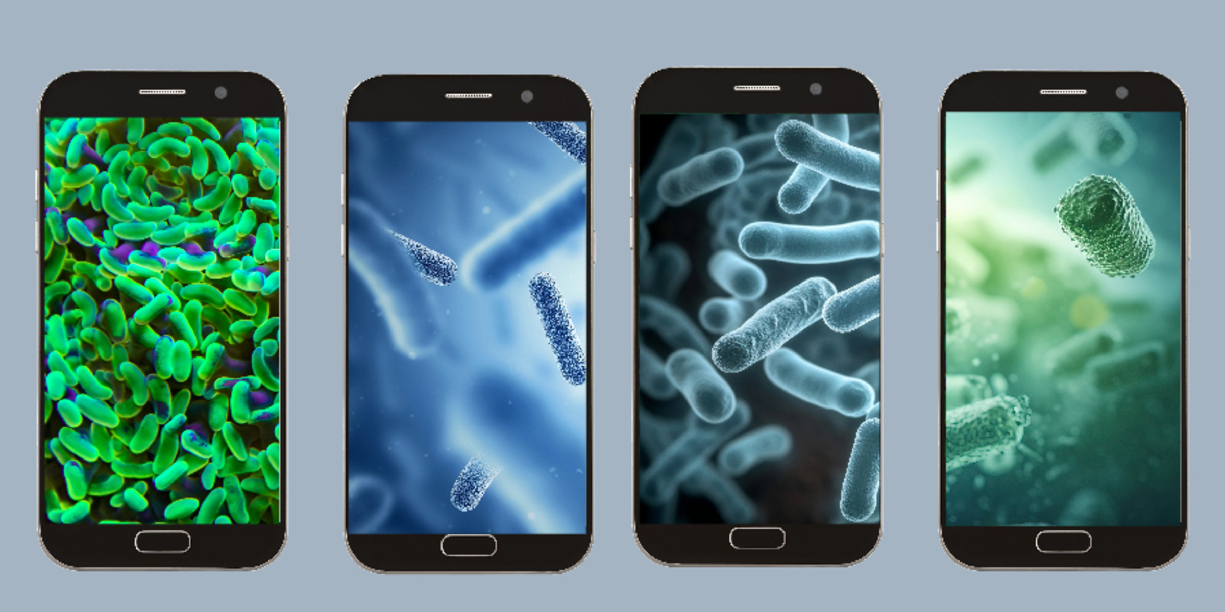 phone germs