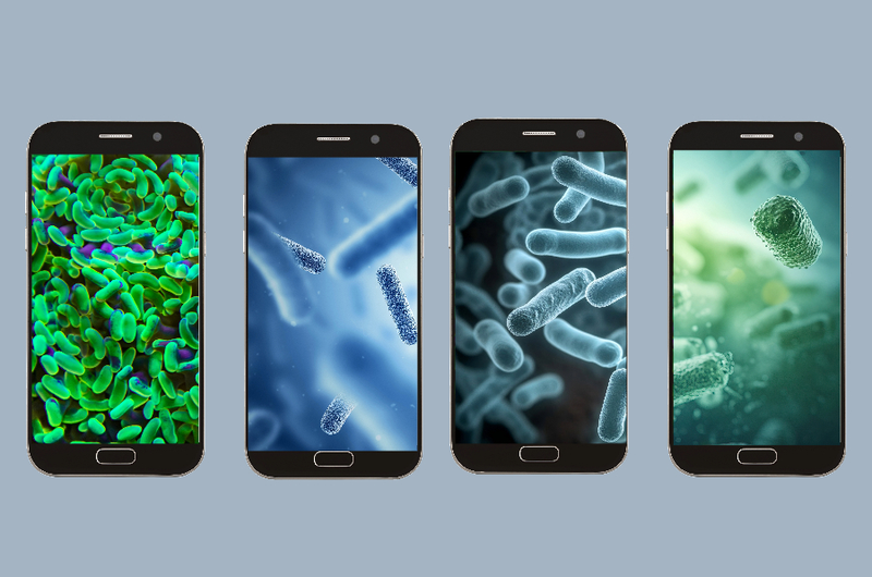 phone germs