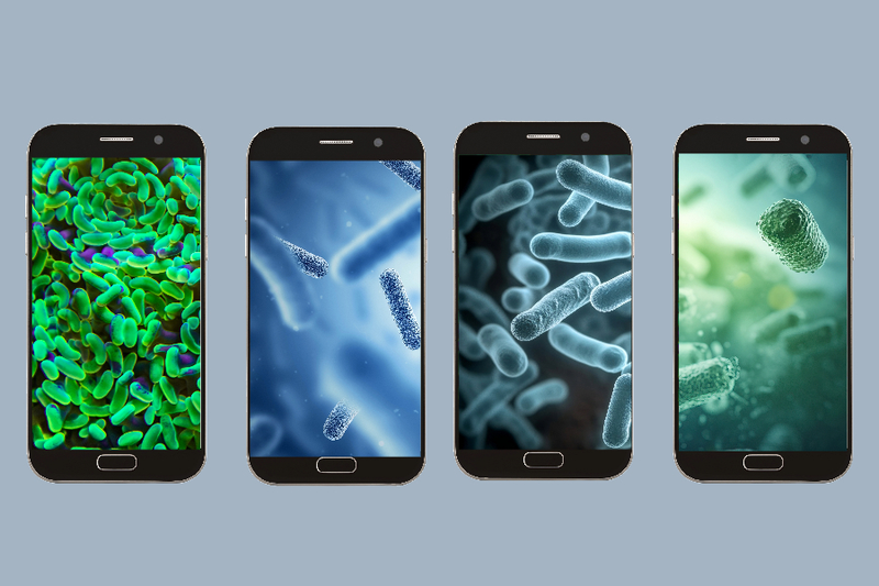 phone germs