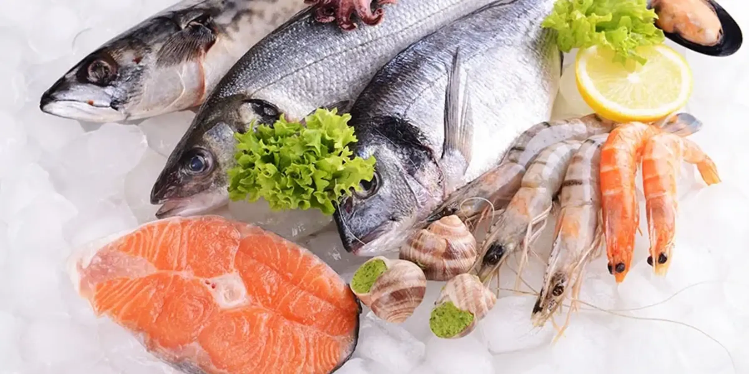 Fresh fish and other seafood