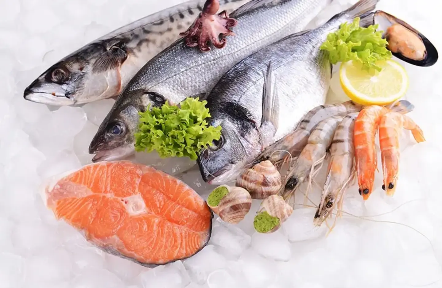 Fresh fish and other seafood