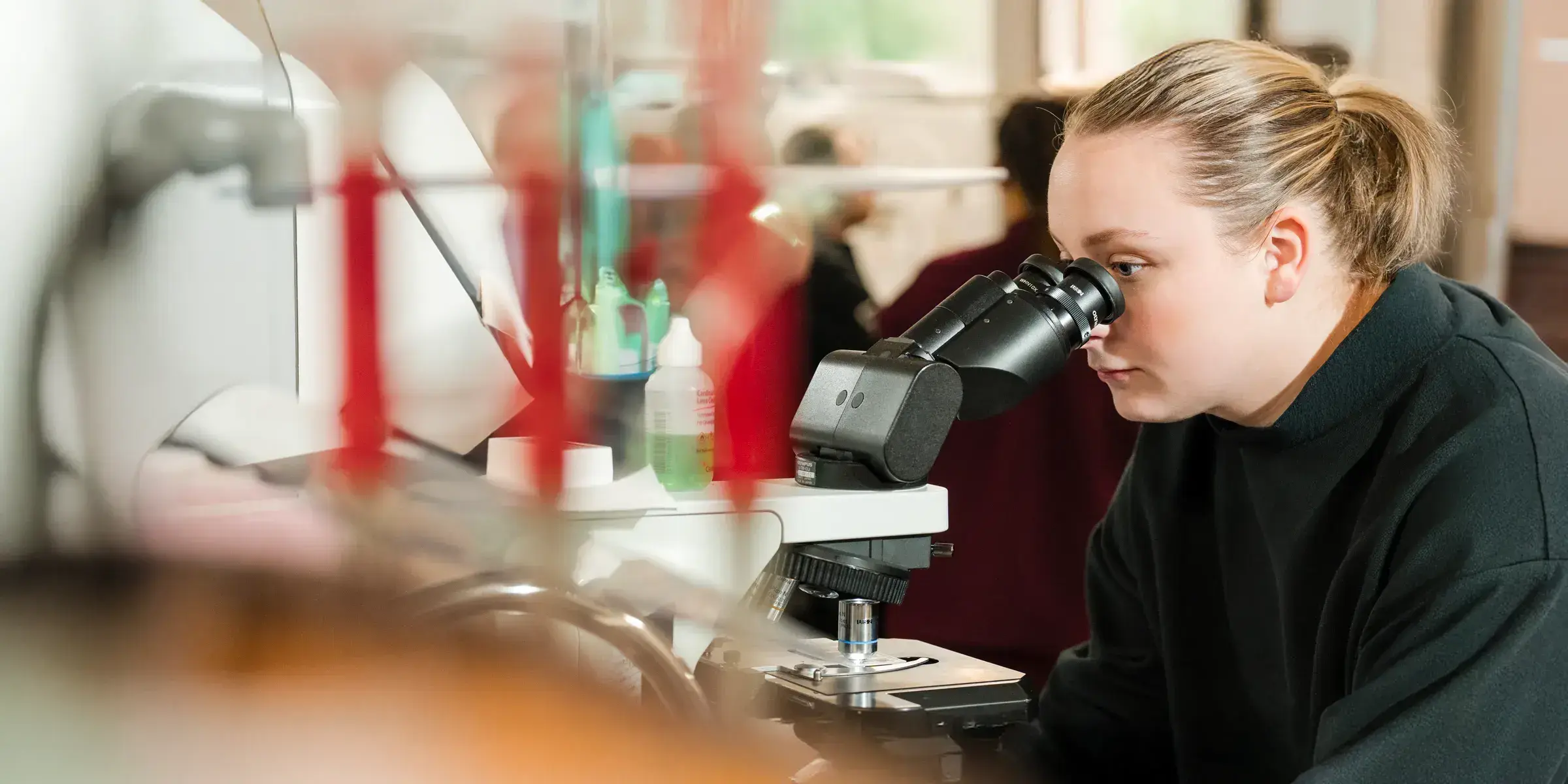 lab-services