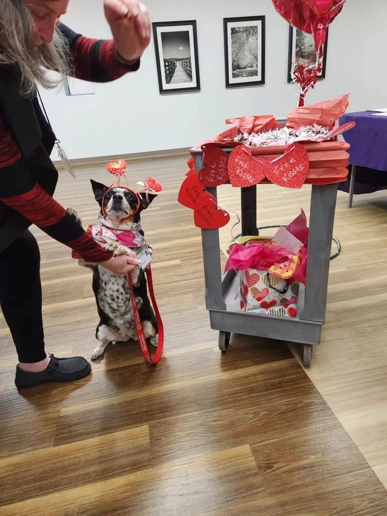 therapy dog valentine