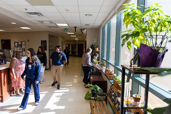 Horticulture therapy Bon Secours St. Francis Hospital