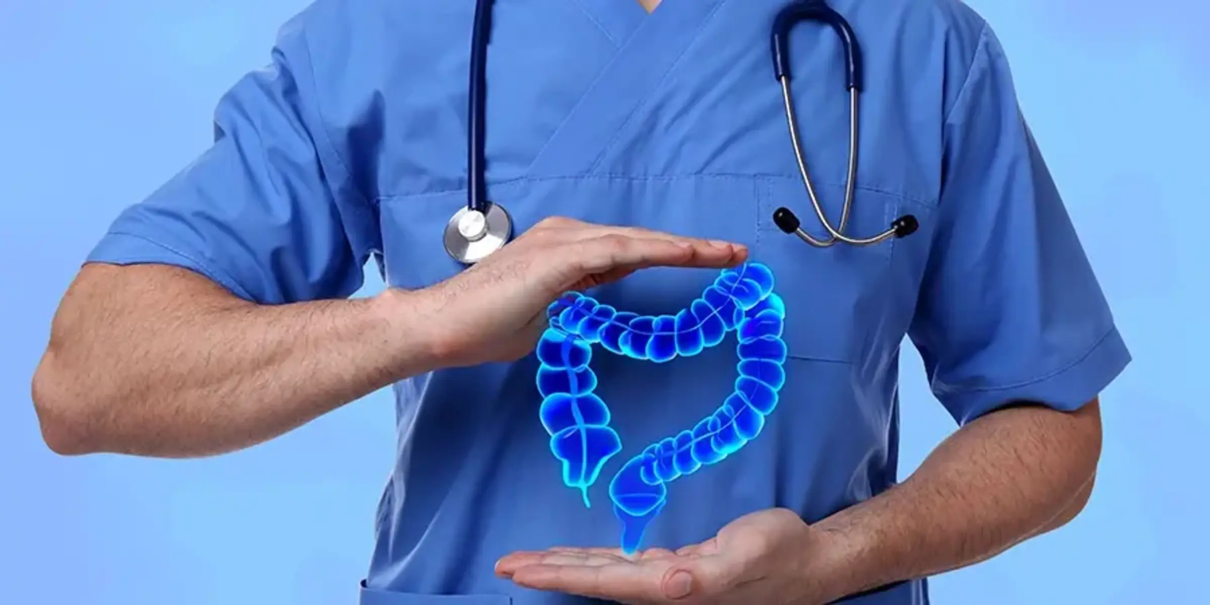 Gastroenterologist holding illustration of large intestine