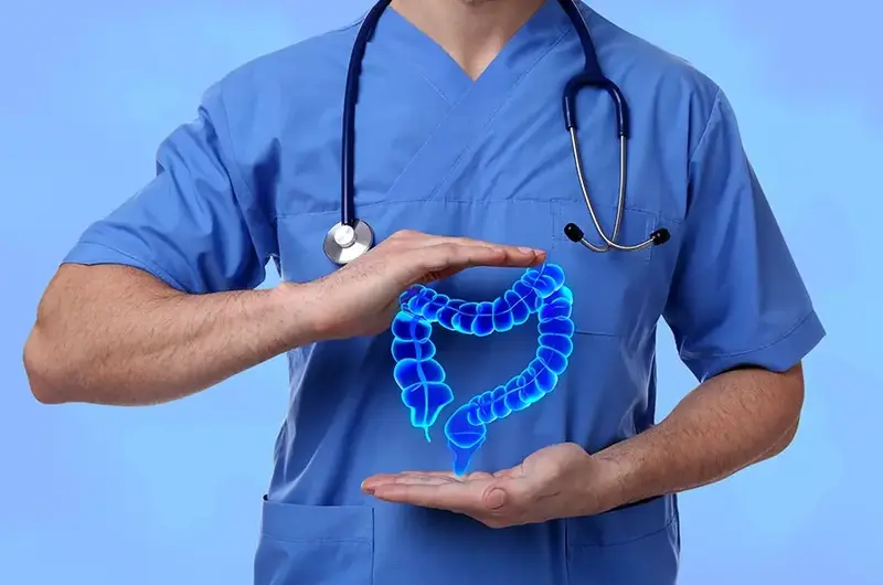 Gastroenterologist holding illustration of large intestine