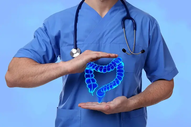 Gastroenterologist holding illustration of large intestine
