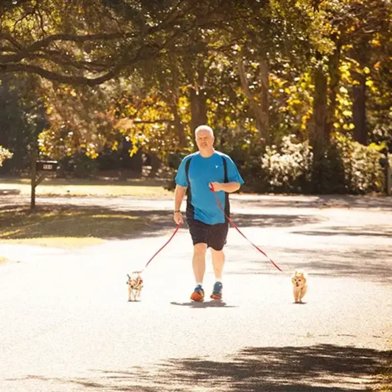Man jogs with dogs