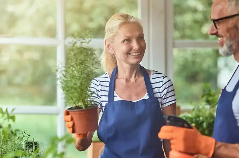Middle aged couple working in greenhouse