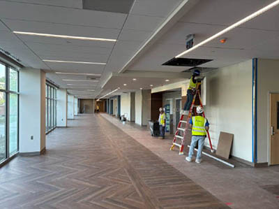 berkeley mob level one June 2025 thumbnail