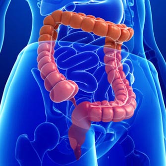 medical image of colon